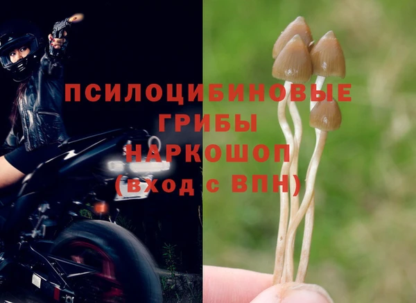 герыч Белокуриха